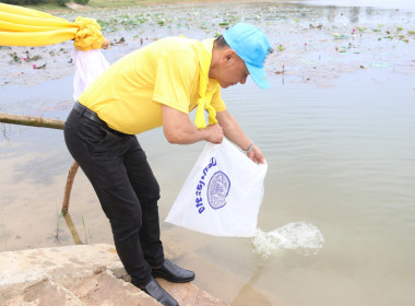 กิจกรรมโครงการจิตอาสาพัฒนา “ปลูกต้นไม้และปล่อยปลา พารามิเตอร์รูปภาพ 5